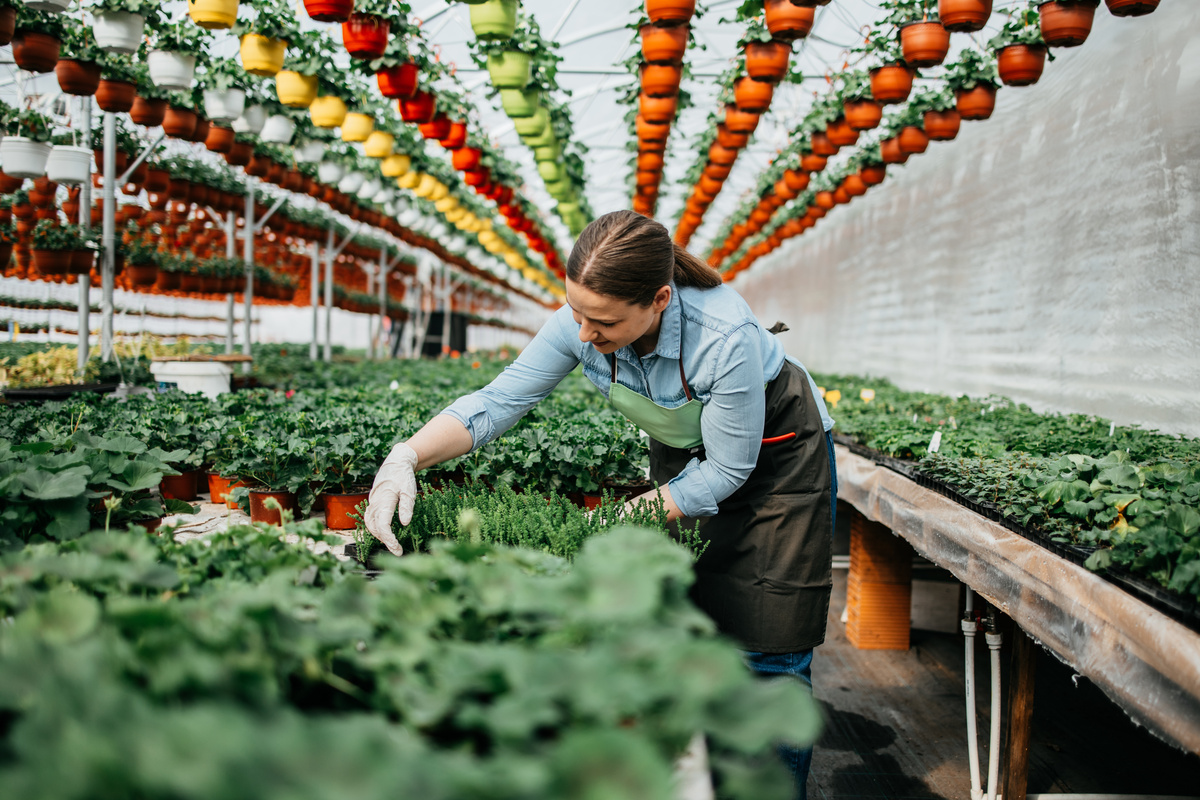 Femme agricultrice formation entourée plantes