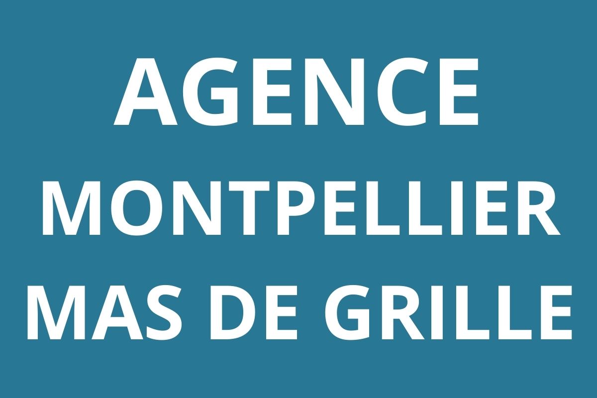 logo-agence-pole-emploi-MONTPELLIER-MAS-DE-GRILLE