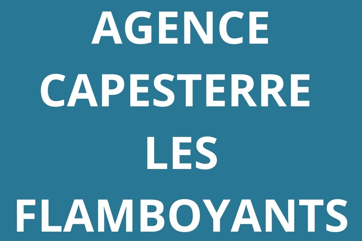 logo-agence-pole-emploi-CAPESTERRE-LES-FLAMBOYANTS