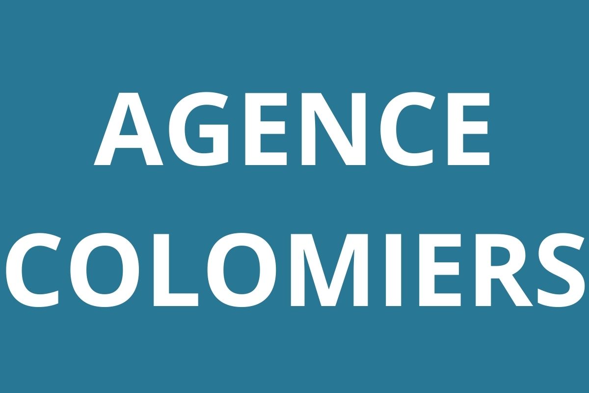 logo-agence-pole-emploi-COLOMIERS