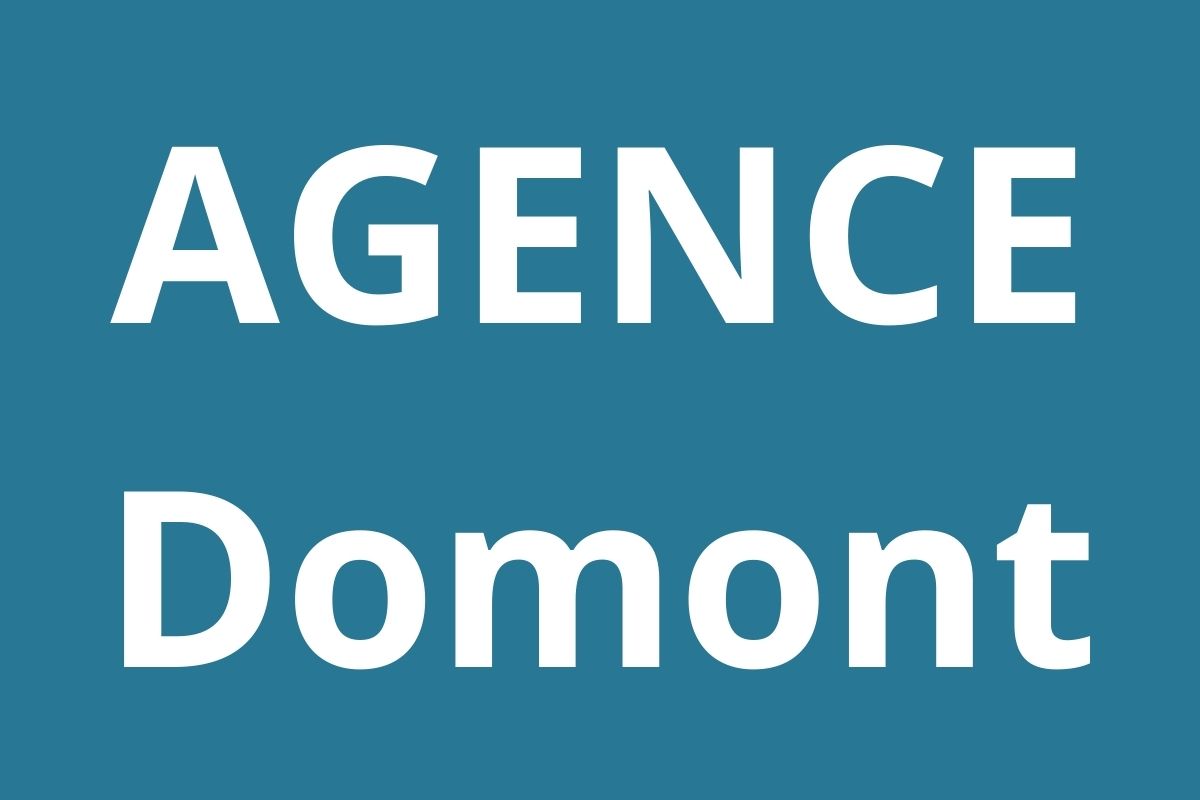 logo-agence-pole-emploi-Domont