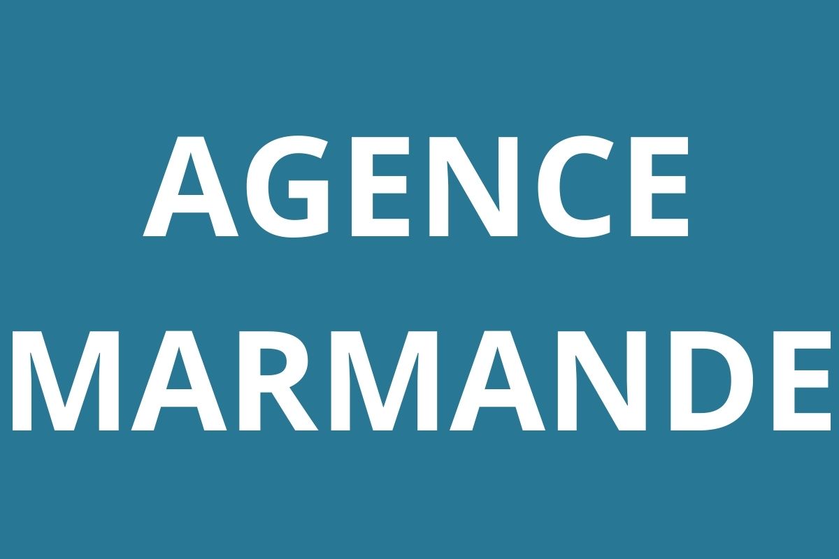 logo-agence-pole-emploi-MARMANDE