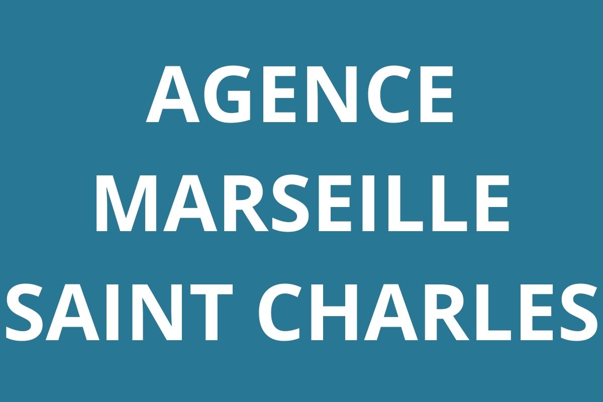 logo-agence-pole-emploi-MARSEILLE-SAINT-CHARLES