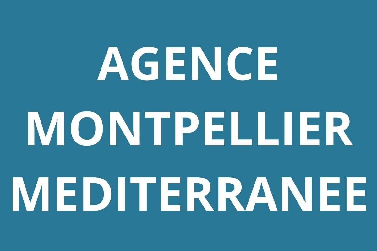 logo-agence-pole-emploi-MONTPELLIER-MEDITERRANEE